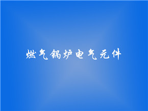 燃气蒸汽锅炉常用(yòng)電(diàn)气元件